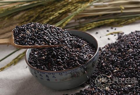 吃黑米不容易餓 揭秘最有效的黑米減肥方法