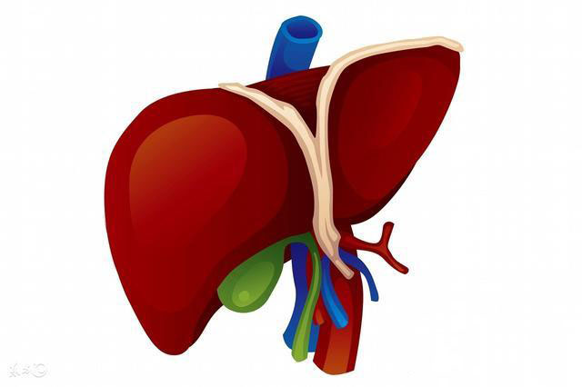 體檢查出脂肪肝，這么吃，讓你下次體檢沒有脂肪肝