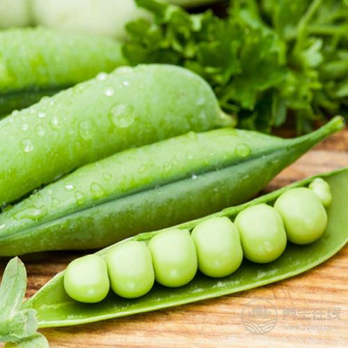 豆類好處多，每天吃一點(diǎn)，可抵抗疾病