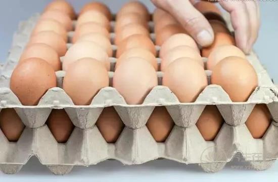 到底吃紅薯紫薯白薯哪種更營養？常吃它降壓不發胖！