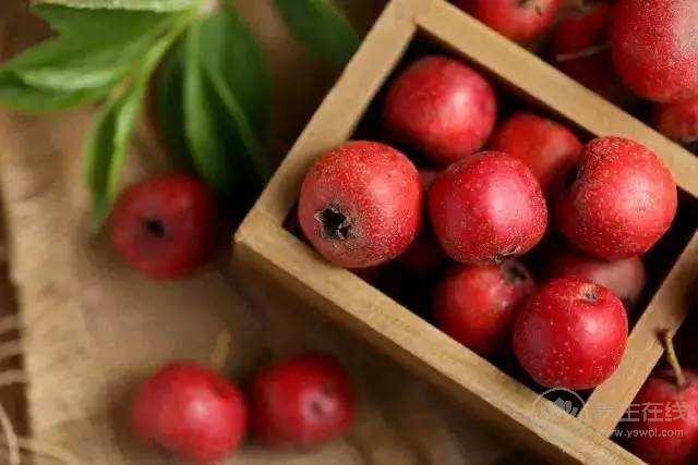 慎吃山楂！山楂不能和7種食物一起吃