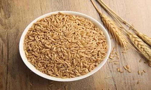 吃燕麥的8個好處 清腸排毒減肥首選 吃燕麥的8個好處 清腸排毒減肥首選