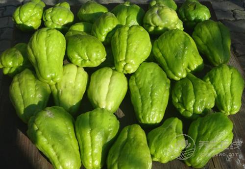 佛手瓜對身體有這些好處，你喜歡吃嗎？