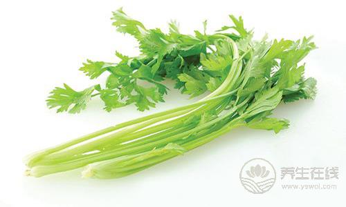 養(yǎng)生飲食禁忌 甲魚(yú)不能和這些食物一起吃 養(yǎng)生飲食禁忌 甲魚(yú)不能和這些食物一起吃