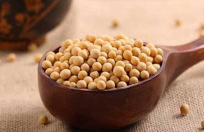 白蘿卜這樣吃竟能抗癌！預防食管癌這蔬果效果佳