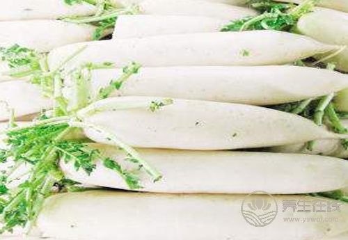 冬吃蘿卜化痰止咳助消化，還不趕緊吃