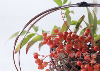 神經(jīng)衰弱怎么治？試試治療偏方