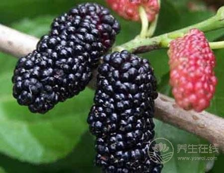 少年白發(fā)怎么辦  食療調(diào)理恢復(fù)濃密黑發(fā)