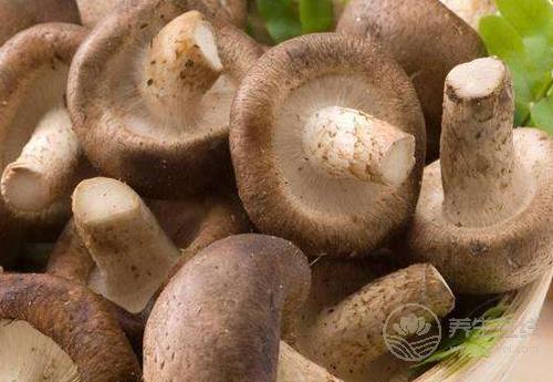 香菇好吃營養(yǎng)，這些吃法不能錯過