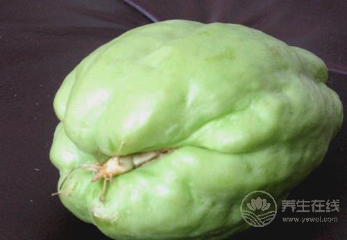 佛手瓜對身體有這些好處，你喜歡吃嗎？