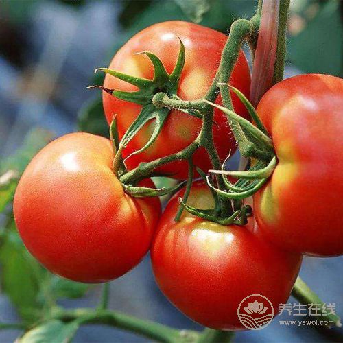 吃蔬菜雖好，但這些食用禁忌你知道幾個？