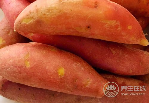 紅薯好吃不貴，對身體還有3大好處