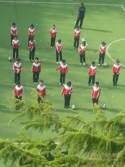 南農(nóng)體育老師開(kāi)設(shè)“減脂”課揭秘肥胖兒的“身心傷害