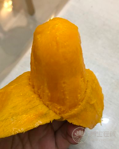 學生臺風天里跑出來“拯救”芒果 臺風也抵擋不了芒果美味的誘惑