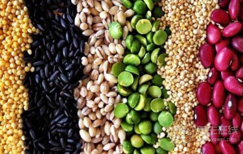 腸胃不好,這5種食物還是少吃為好 腸胃不好,這5種食物還是少吃為好