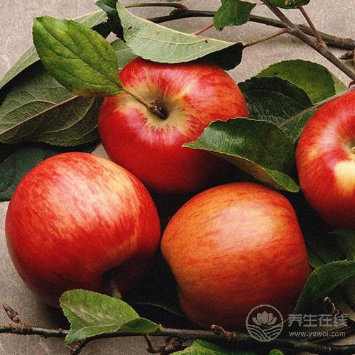 熬夜傷身體,這些水果能緩解疲勞,平時要多吃 熬夜傷身體,這些水果能緩解疲勞,平時要多吃