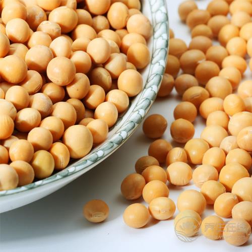 豆類好處多，每天吃一點(diǎn)，可抵抗疾病