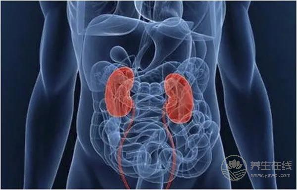 腎不好的朋友，這幾種食物要少吃