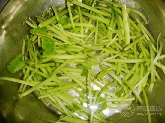 莧菜根要去除嗎？莧菜根梗可以吃嗎
