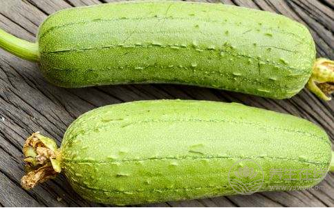 推薦六款瓜類(lèi)食譜 消暑解渴高效瘦身