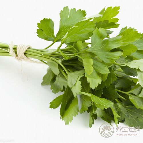 常吃香菜有4大好處，你知道嗎