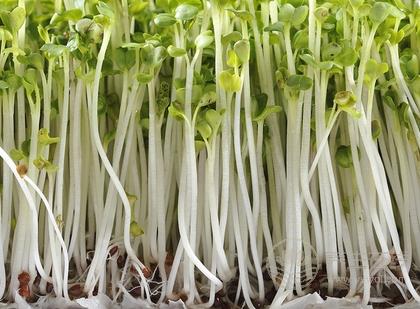 “大餅臉”瘦臉的食物 知道瘦臉的食物怎么做嗎？