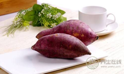 想長壽，那就每天吃一個雞蛋