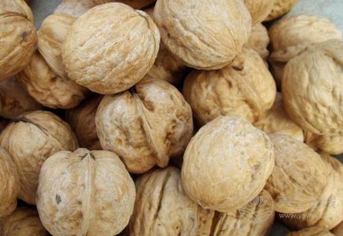 常吃核桃,對身體有這些好處,現在知道也不晚 常吃核桃,對身體有這些好處,現在知道也不晚