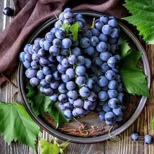 熬夜傷身體,這些水果能緩解疲勞,平時要多吃 熬夜傷身體,這些水果能緩解疲勞,平時要多吃