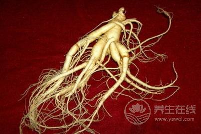 哪六類人與人參無緣 服用人參的禁忌有哪些 哪六類人與人參無緣 服用人參的禁忌有哪些