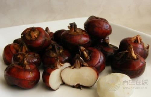 豬腰子的家常做法 既美味又沒臊味 豬腰子的家常做法 既美味又沒臊味