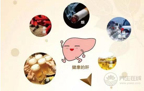 5個習慣堪稱肝肝臟殺手 小心毀了肝臟 5個習慣堪稱肝肝臟殺手 小心毀了肝臟