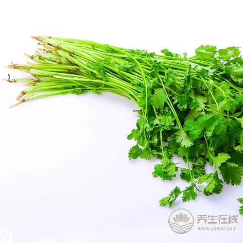 常吃香菜有4大好處，你知道嗎