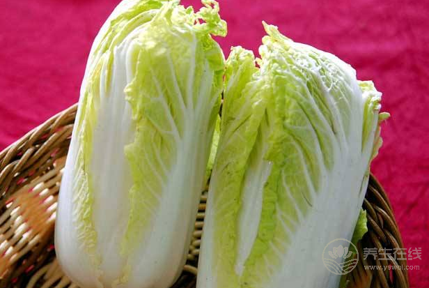 大白菜絕不能這樣吃 凍白菜勿用熱水泡洗 大白菜絕不能這樣吃 凍白菜勿用熱水泡洗