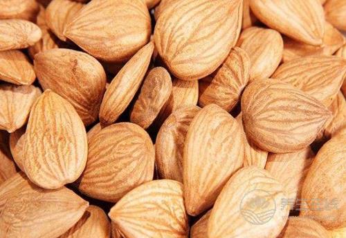 杏仁作用大，對身體有這些好處，你知道嗎？