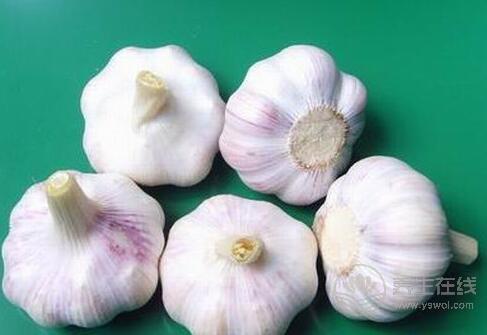 別嫌大蒜味大，它的功效卻很大