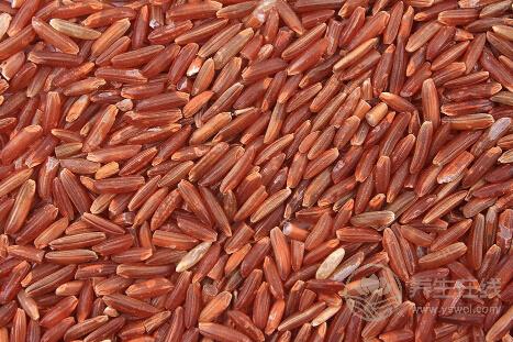 這些主食能有助于減肥你造嗎? 這些主食能有助于減肥你造嗎?