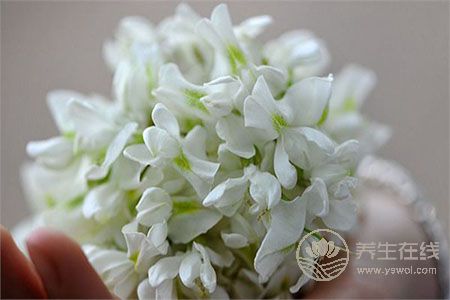 梅毒患者的5種食療方法?