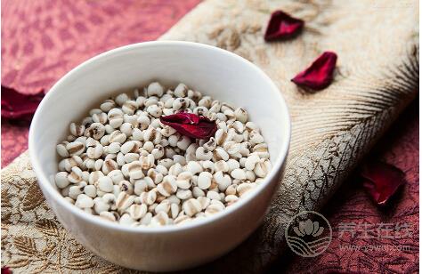 這些主食能有助于減肥你造嗎? 這些主食能有助于減肥你造嗎?