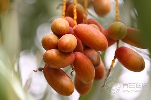 震驚！這物居然抗癌又治性功能低下 椰棗這樣吃更健康