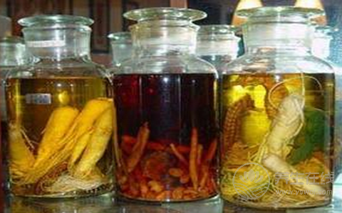 怎么樣泡服藥酒？ 飲用需避開3大誤區