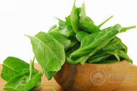 常吃菠菜好處多 需注意5個禁忌