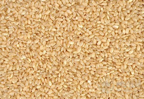 糙米減肥，糙米怎么做減肥效果好