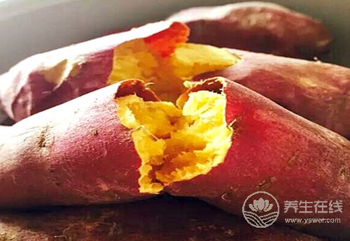 紅薯好吃不貴，對身體還有3大好處