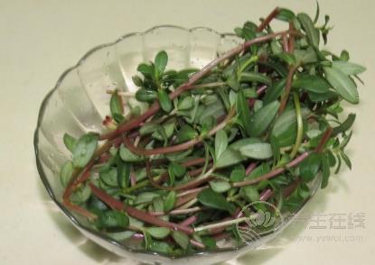 當心！！這7種蔬菜沒煮熟似砒霜