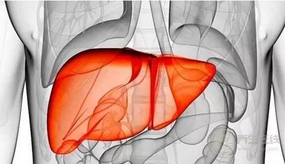 做夢睡不好是因為“血虛”,教你如何養血,從根本解決身體病灶 做夢睡不好是因為“血虛”,教你如何養血,從根本解決身體病灶