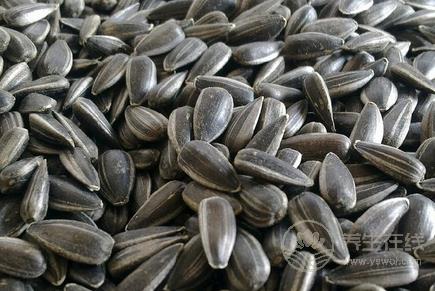 讓你折壽的食物  讓你折壽的飲食習慣