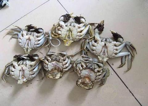 美味食物背后竟藏玄機！ 這八種食物打死不能吃