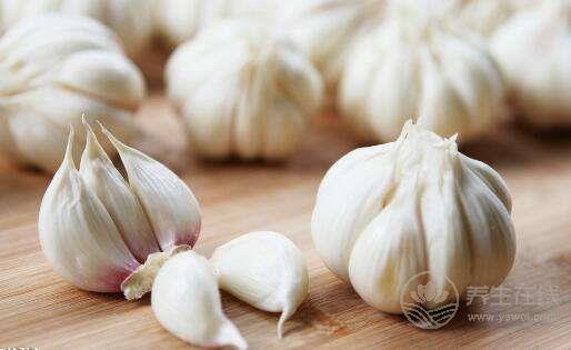 患高血脂人群越來越多，多吃這6種食物可以有效預(yù)防