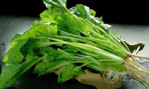 常吃菠菜好處多 需注意5個禁忌